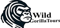 Wild Gorilla Tours